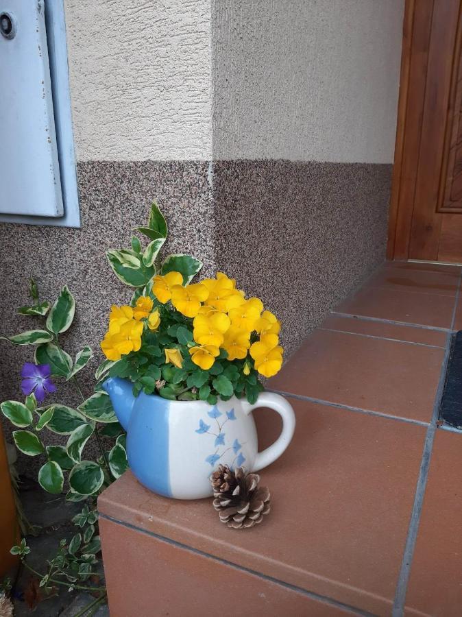 Apartmany Pod Hradem Holstejn Exterior photo